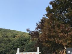 -龙寺生态园