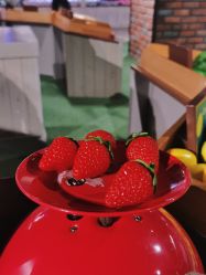 -幻贝家儿童乐园(温州银泰城店)