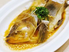 -绿岛国际酒店·海鲜酒楼(八七路店)