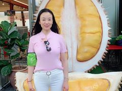 -都念榴莲·城市榴莲
