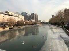 -玛尚诺意式餐厅(官舍店)