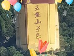 -丰都鬼城名山景区