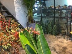 -植物学家的女儿(北马道巷店)