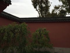 -孔庙学宫