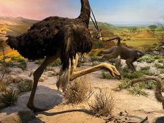 -国家自然博物馆