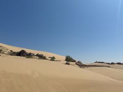 -玉龙沙湖景区