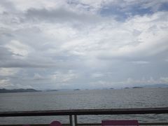 -杨梅坑