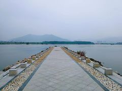 -福建鲤鱼洲酒店