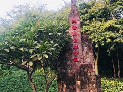 -王借岗森林公园