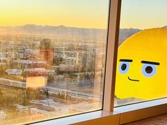 -拉斯维加斯永利酒店