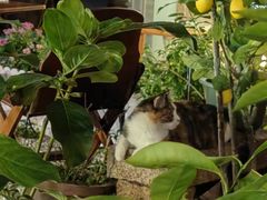 -厦门良筑精品酒店(厦门中山路店)