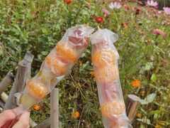 -贵阳市花溪国家城市湿地公园