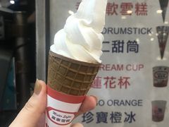 -富豪雪糕车流动点(尖沙咀店)