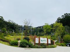 -金鸡山公园