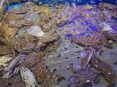 -澜悦港海鲜体验主题餐厅