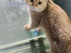 -极木²邸 人与宠物·互动社区