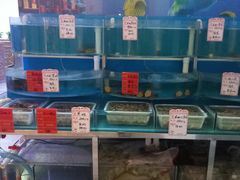 -香岛私房菜(金屋·秦皇半岛店)