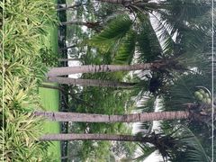 -深圳湾公园(南山区)
