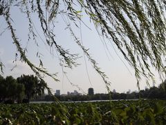 -济南大明湖景区