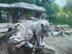 -北京野生动物园