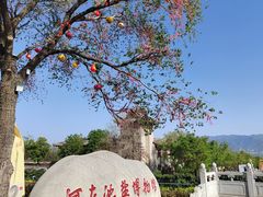 -盐池神庙