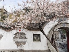 -老张烤羊(王哥庄店)