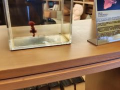 -御海8号温泉酒店