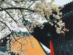-灵谷景区