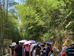 -千泷沟大瀑布旅游区