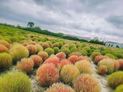 -映月湖中央公园