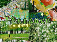 -上海共青森林公园