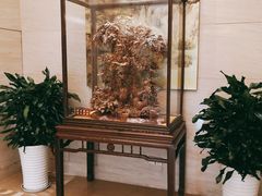 -阳光假日大酒店-西餐·自助餐