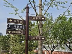 -西海子公园