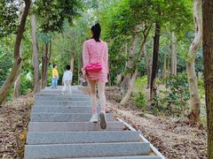 -中山市树木园