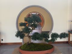 -腾冲和顺柏联酒店