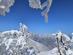 -秦岭风景区