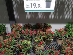 -鹿岛会员店 (龙湖三千集天街店)