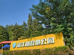-渌洋湖湿地公园
