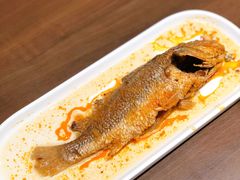 -顺溜·手工刀削面·黑金店(铜锣湾店)
