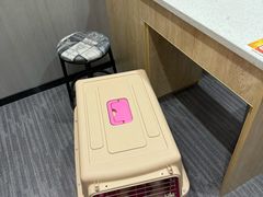 -半岛宠物医院24小时(西派城店)