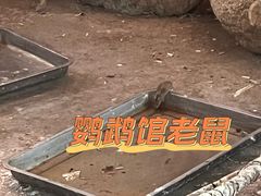 -太原动物园