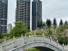 -映月湖公园