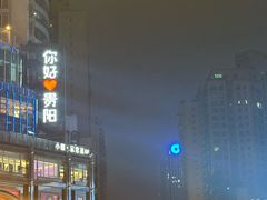 -树厨贵州菜(大十字店)