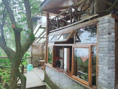 -缙云山景区