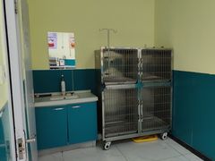 -乖乖宠物医院·猫科·急重症中心(车站北路分院)