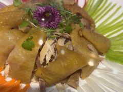 -鸽子侯·家宴·平价海鲜(市图书馆店)