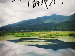 -腾冲北海湿地