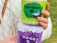 -书亦烧仙草(万家丽一店)