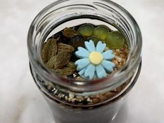 -南锣肥猫·麻辣烤鱼·16年现烤现卖(财富购物中心店)