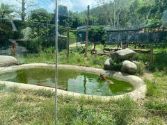 -泉州海丝野生动物世界